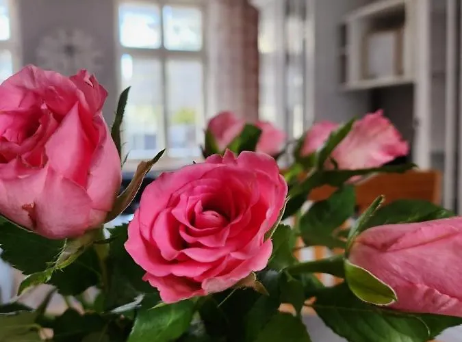 Ferienwohnung Im Konvent