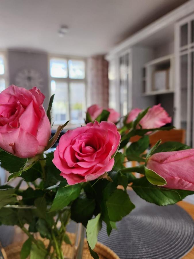 Apartment Im Konvent *